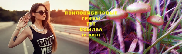 mix Алексеевка