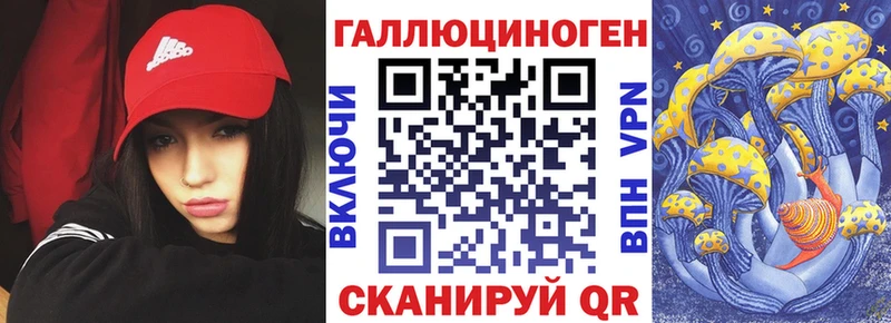 hydra ссылки  Аргун  Псилоцибиновые грибы Psilocybe 