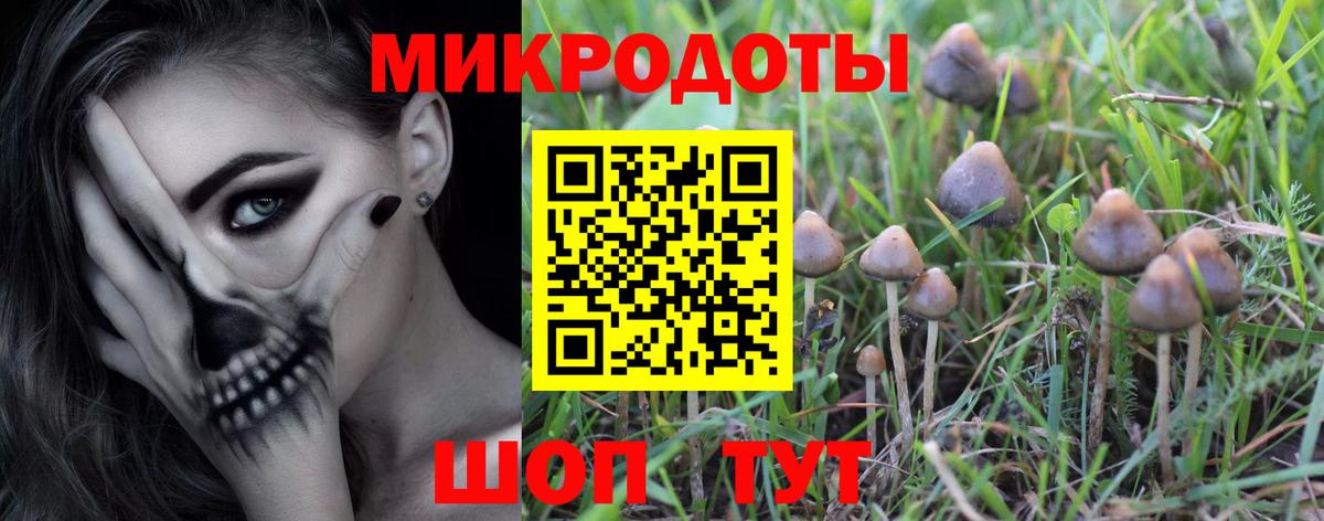 Псилоцибиновые грибы GOLDEN TEACHER Аргун