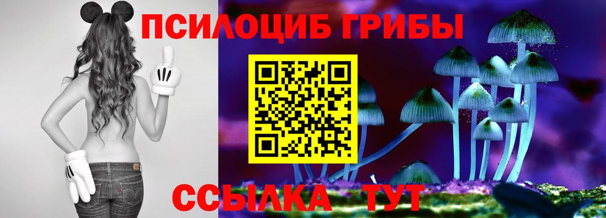 Псилоцибиновые грибы MAGIC MUSHROOMS  Вход с VPN  Псилоцибиновые грибы MAGIC MUSHROOMS  Аргун 